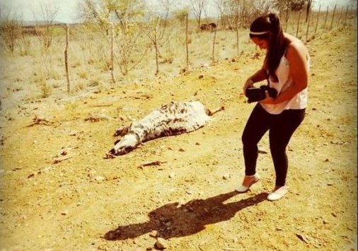 Fotojornalismo no SerTão