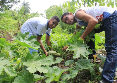 “Em se plantando, tudo dá” no Ibura