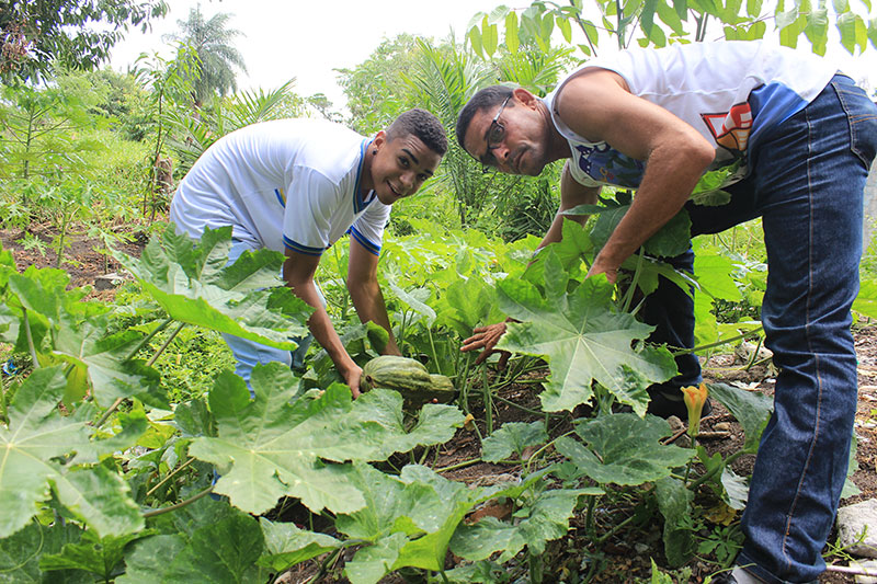 Alunos abraçaram a ideia do o professor de biologia Ademilson Bispo e transformaram depósito irregular de lixo em uma horta bem sortida. Foto: Marlon Diego/Esp.DP