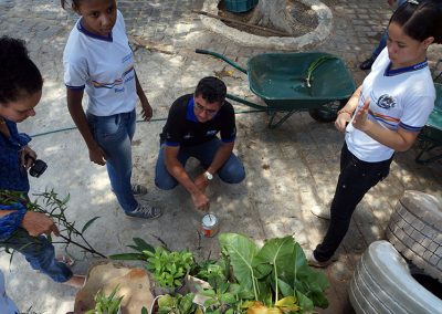 Do jardim nascem vidas saudáveis