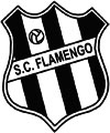 Sport Club Flamengo, do Recife