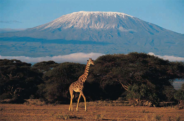 Monte Kilimanjaro, na Tanzânia