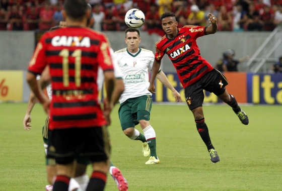 Série A 2014, 16ª rodada: Sport 2x1 Palmeiras. Foto: Ricardo Fernandes/DP/D.A Press