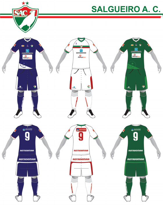 Padrões do Salgueiro no cadastro nacional de uniformes da CBF para a temporada 2016