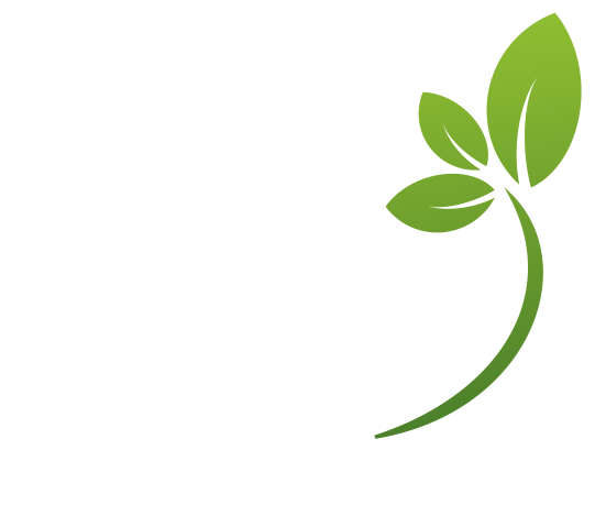 Ouro Rosa